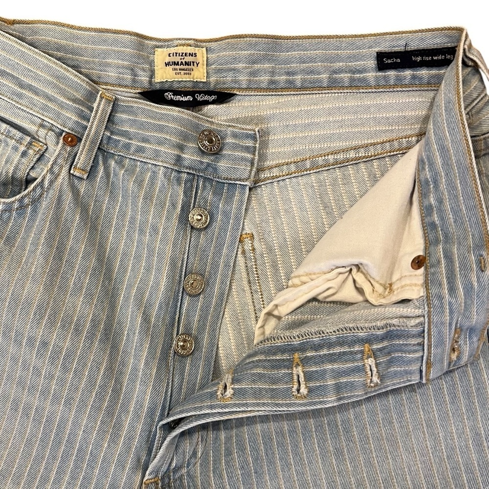 CITIZENS OF HUMANITY Sacha Wide Leg High Rise Crop Laguna Stripe Size 30 - Picture 6 of 16
